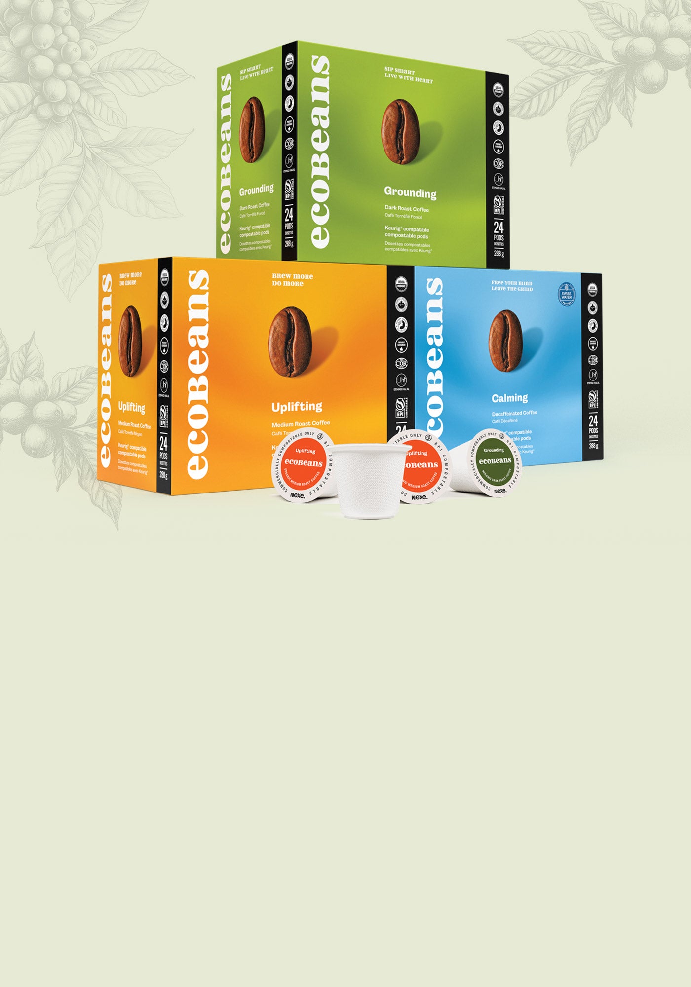 ecoBeans coffee